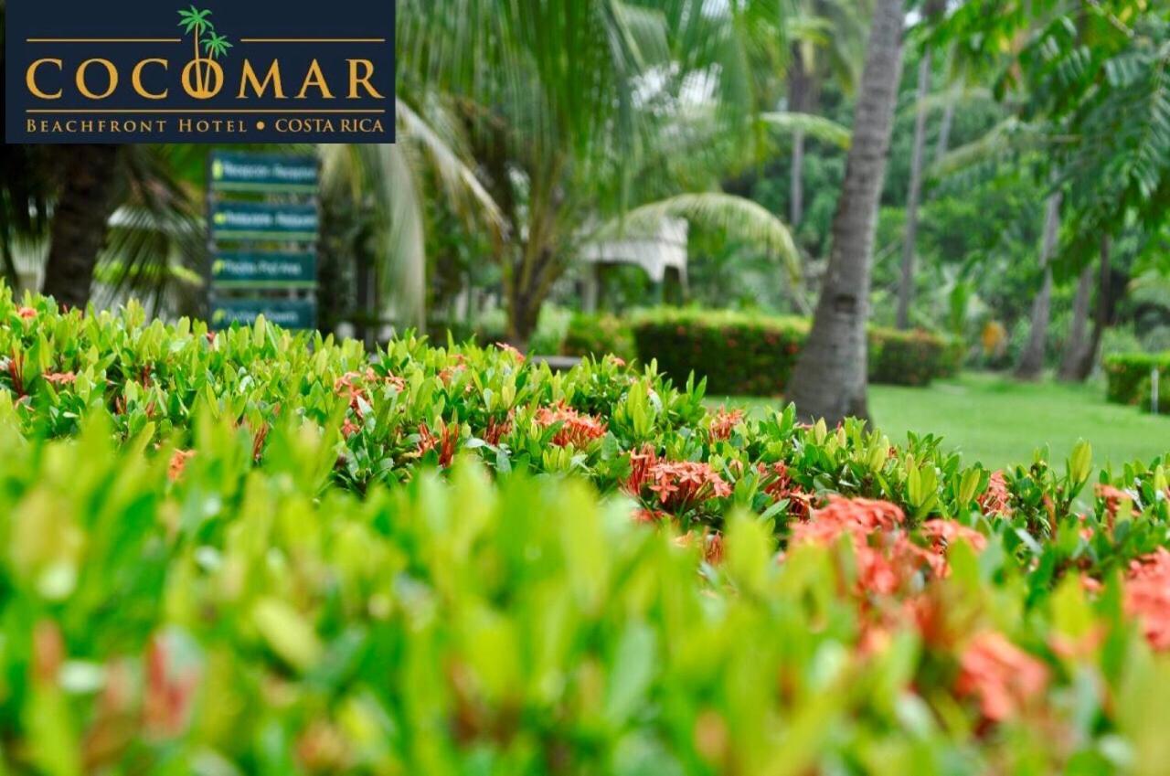 Cocomar Beachfront Hotel Parrita Exterior photo