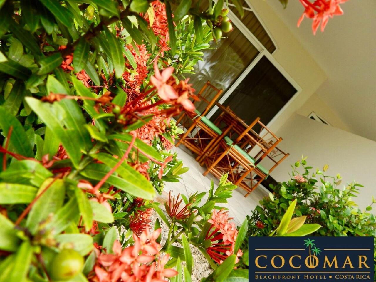 Cocomar Beachfront Hotel Parrita Exterior photo